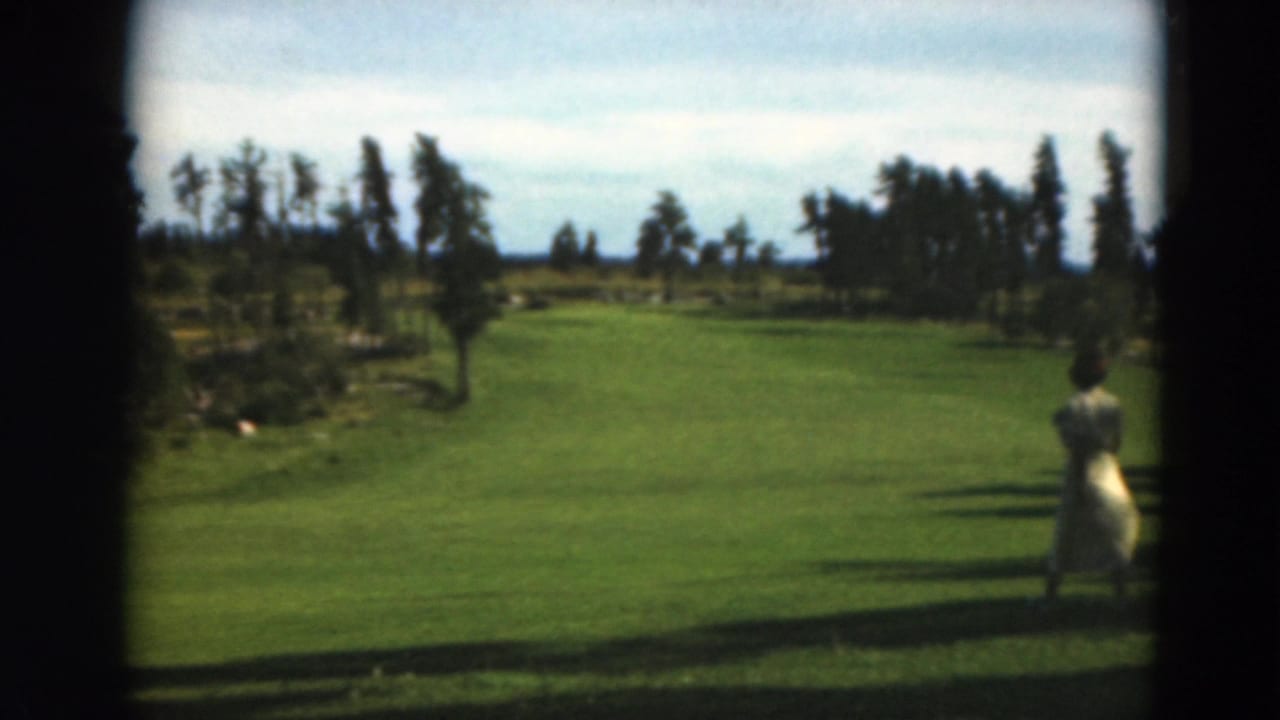 Woman in a light dress at the right edge of a grassy field with trees in the distance.