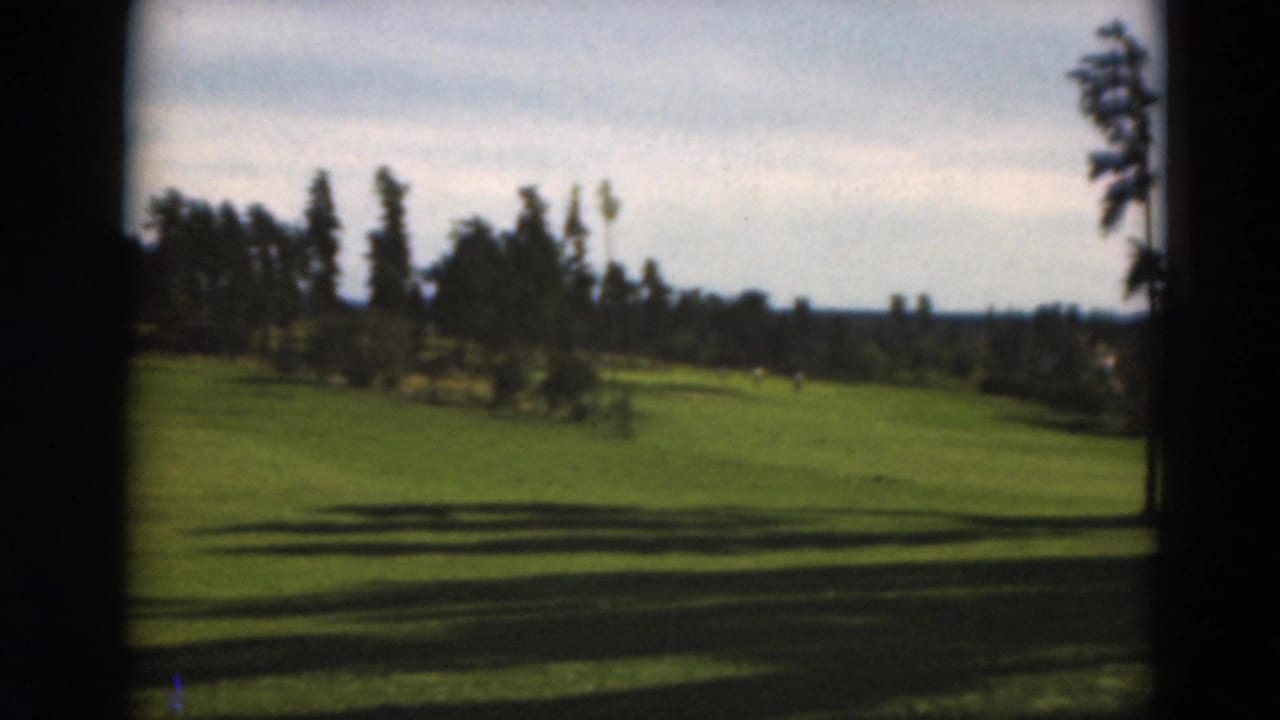 Wide view of a green golf fairway bordered by tall trees and long shadows.