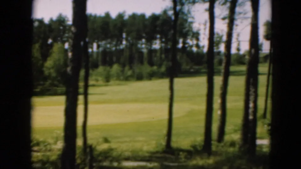 The camera looks across a wooded Duluth golf course, with dark tree trunks in the foreground and a sunlit fairway beyond.