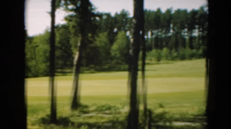 A soft 8mm view of a Duluth golf course shows open grass, foreground trunks, and a dense line of trees in bright daylight.