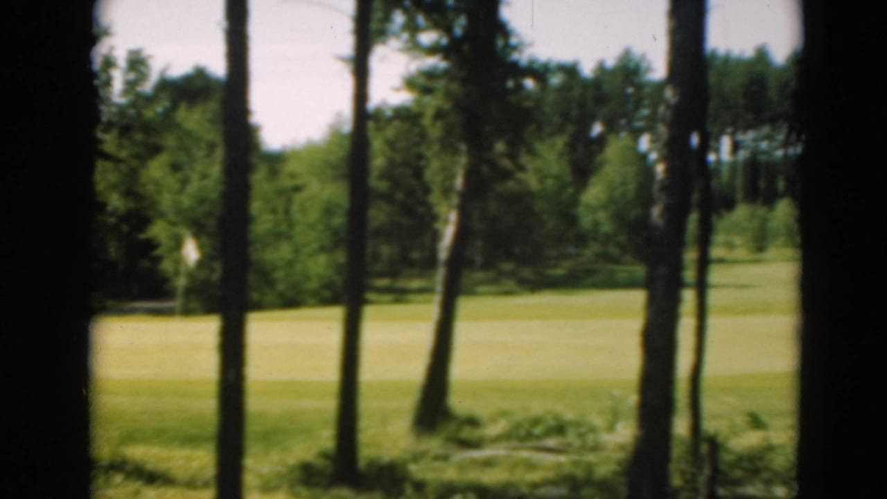Dark tree trunks frame a bright fairway and wooded golf course beyond.