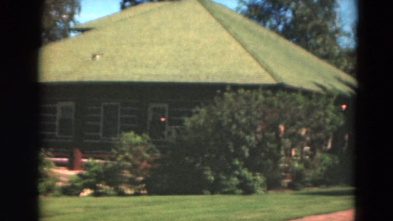 1975 Duluth exterior view of a green-roofed log-style house surrounded by lawn, shrubs, and tall trees.