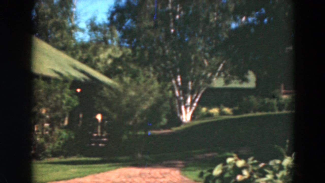Shaded lawn, garden path, birch tree, and part of a green-roofed house.