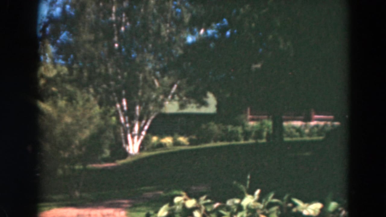 1975 Duluth frame with a white-barked birch tree, manicured lawn, shrubs, path, and a partially visible house exterior.
