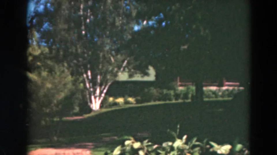 1975 Duluth frame with a white-barked birch tree, manicured lawn, shrubs, path, and a partially visible house exterior.