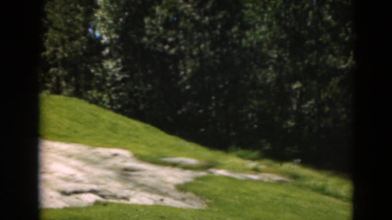 Grassy golf course with a pale sand bunker and dense trees behind it.