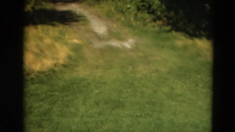 A grassy course edge or path appears beside brush and trees in the final 1975 Duluth golf-course frame.