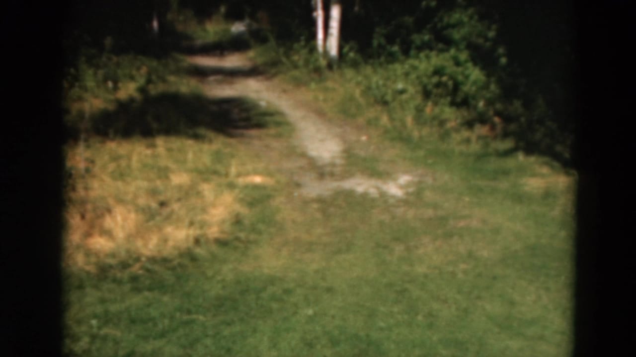 1975 Duluth, Minnesota home-movie frame showing a grassy dirt path bending into birch trees and shaded forest.