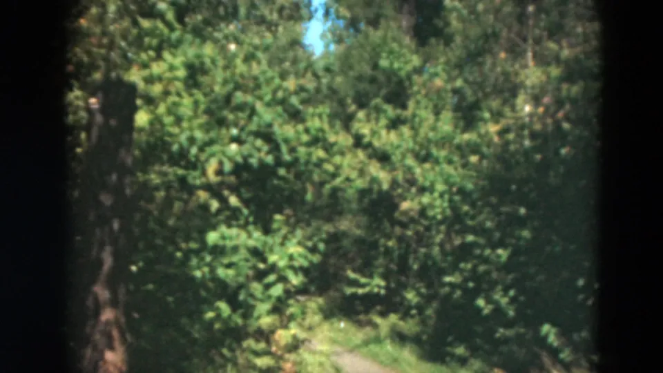 A shaded, leafy path appears between trees in the same 1975 Duluth golf-course home movie.