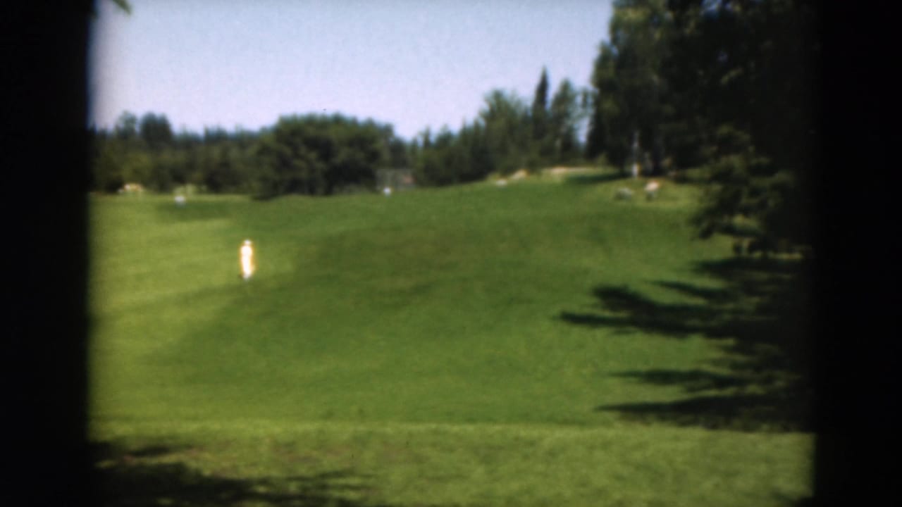 Wide green fairway with trees, blue sky, and a small light-clothed golfer in the distance.