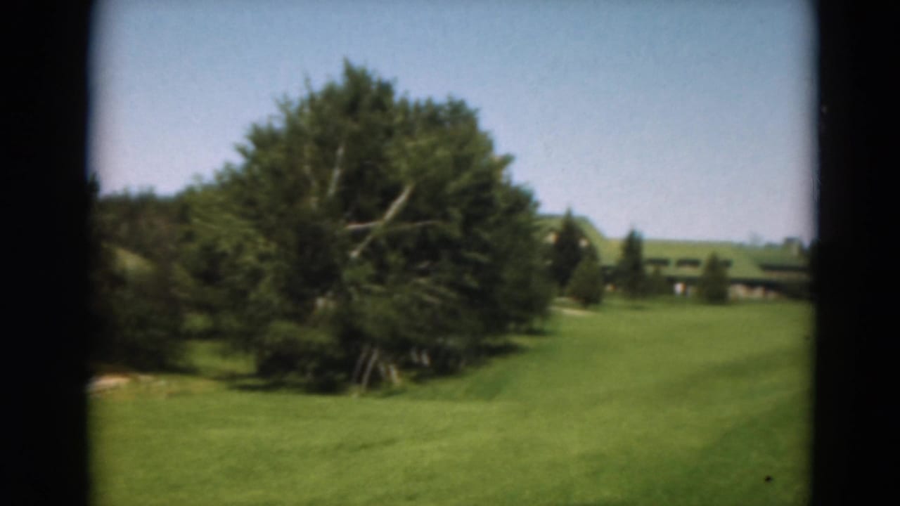 1975 Duluth, Minnesota 8mm frame of a golf-course landscape with a large leafy tree, rolling grass, and distant greenery under bright sky.