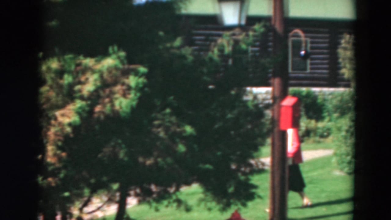 Woman in a pink top walking near a red mailbox and log cabin behind trees.