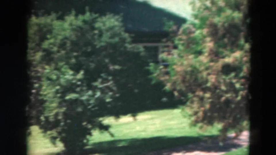 1975 Duluth frame with dense green trees, trimmed grass, and a partially hidden cabin exterior in soft 8mm focus.