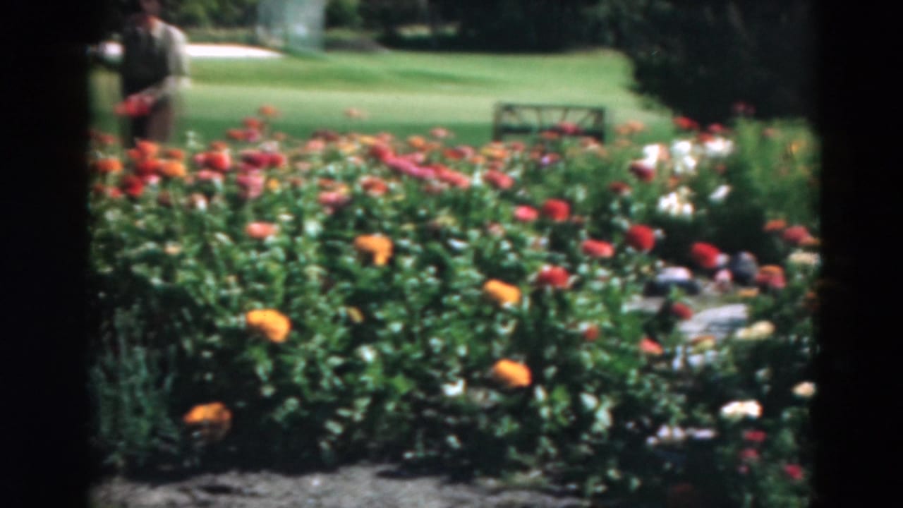 1975 Duluth home-movie frame showing bright garden flowers, green lawn, benches, trees, and a distant adult figure at the left edge.