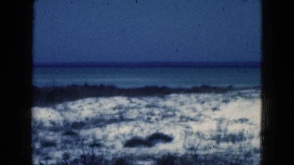 1975 Florida 8mm frame showing beach dunes and scrub vegetation with a calm ocean horizon and blue color cast.