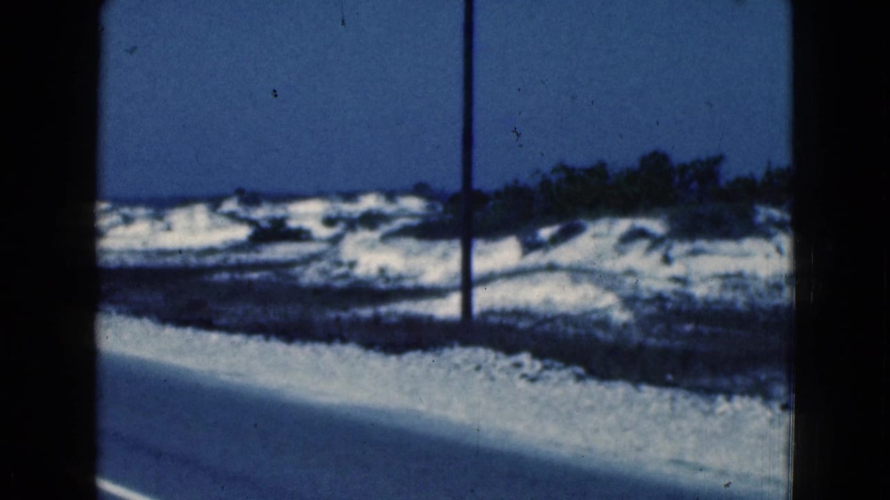 Snowy roadside landscape with a utility pole and low vegetation near water.