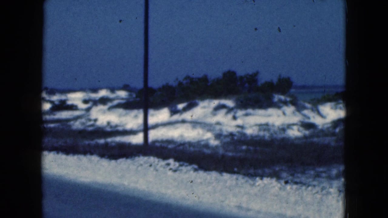 Sandy shoreline and low vegetation seen through dark vertical frame edges.