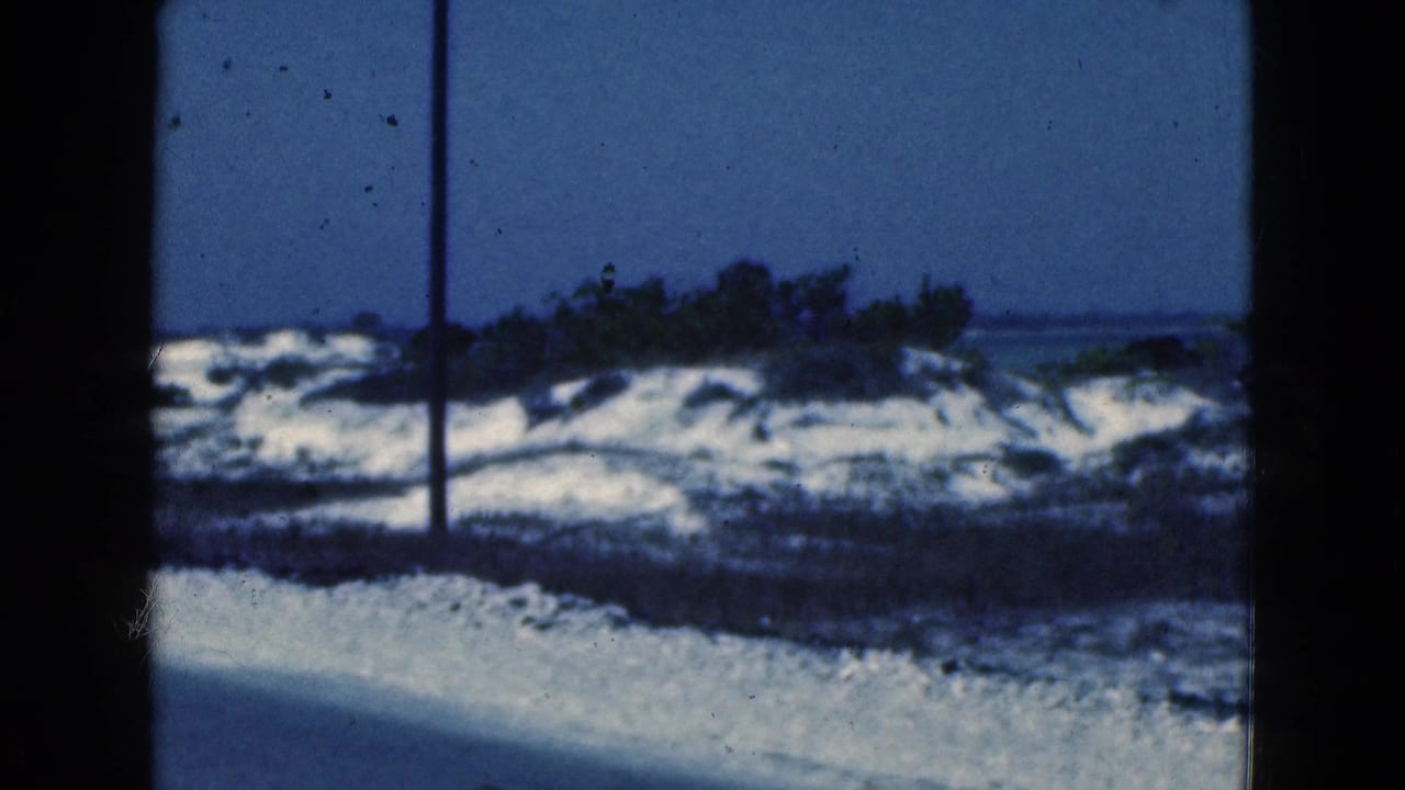 Sandy shoreline with low vegetation and water behind dark vertical frame edges.