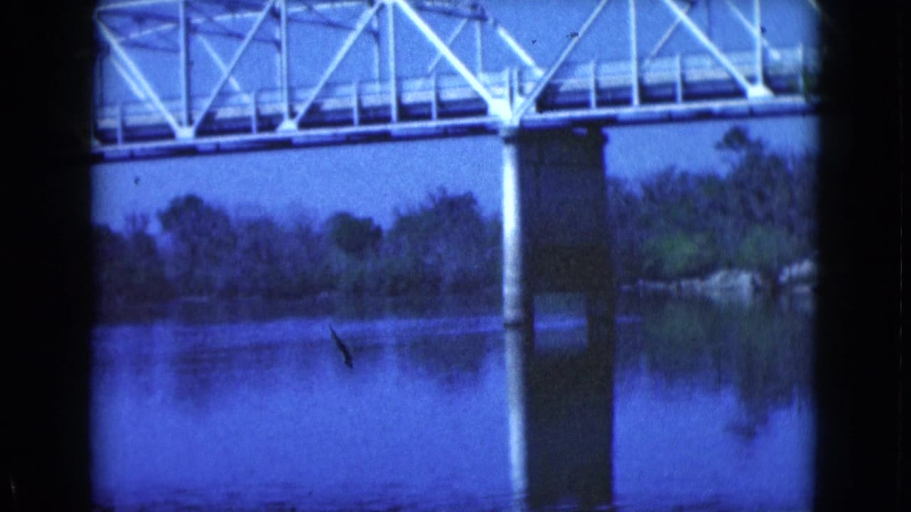 Bridge truss and central pier reflect in a still river beside a wooded bank.