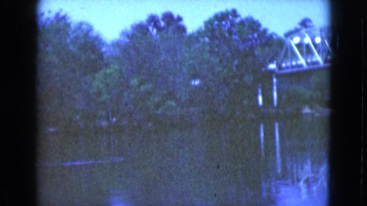 Calm river bordered by dense trees with part of a metal bridge at the right edge.