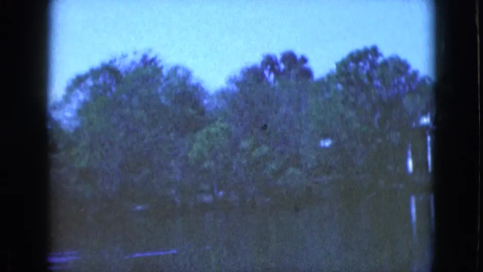 1975 Florida 8mm frame emphasizing dense riverside trees, dark water, and faint bridge reflections near the edge.