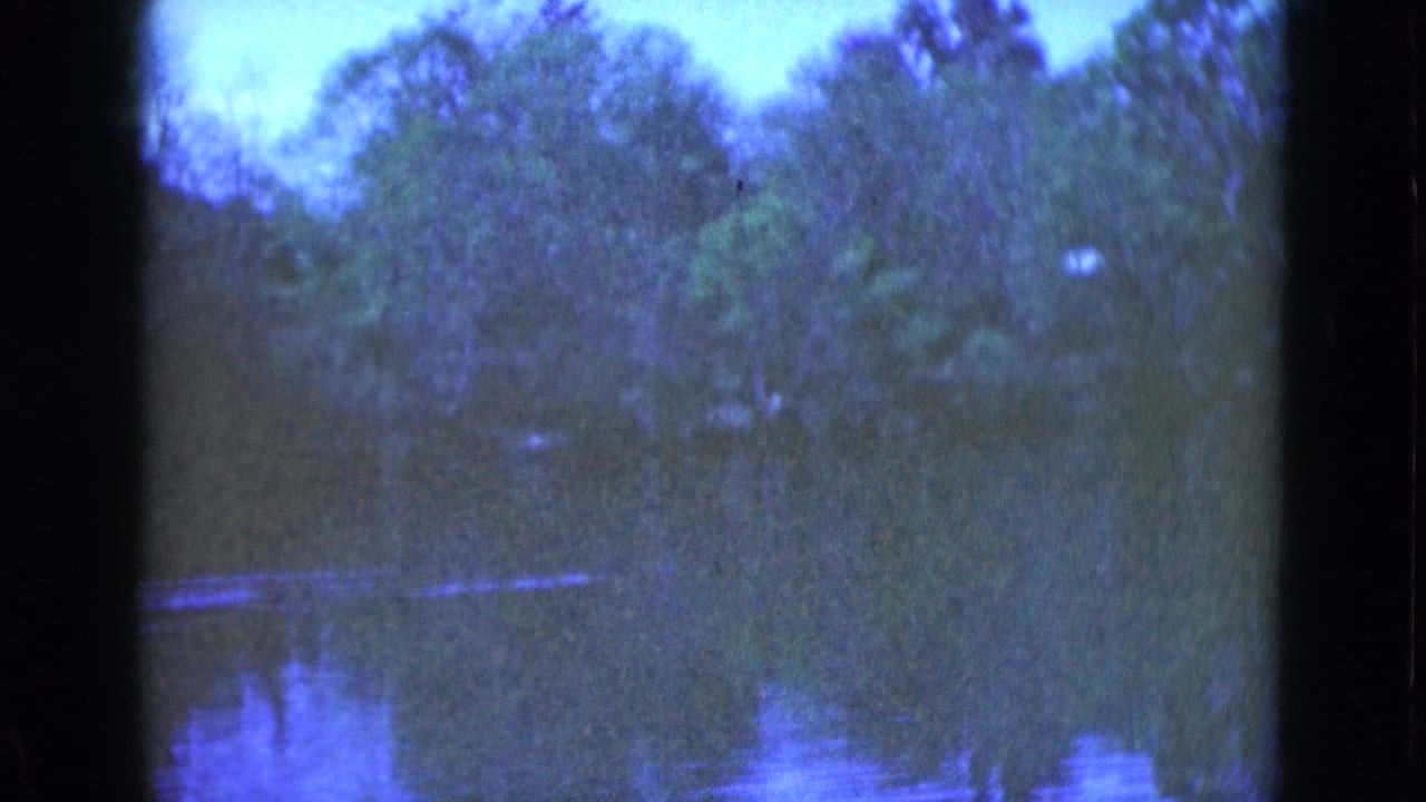Soft blue-tinted view of trees reflected in calm river water.