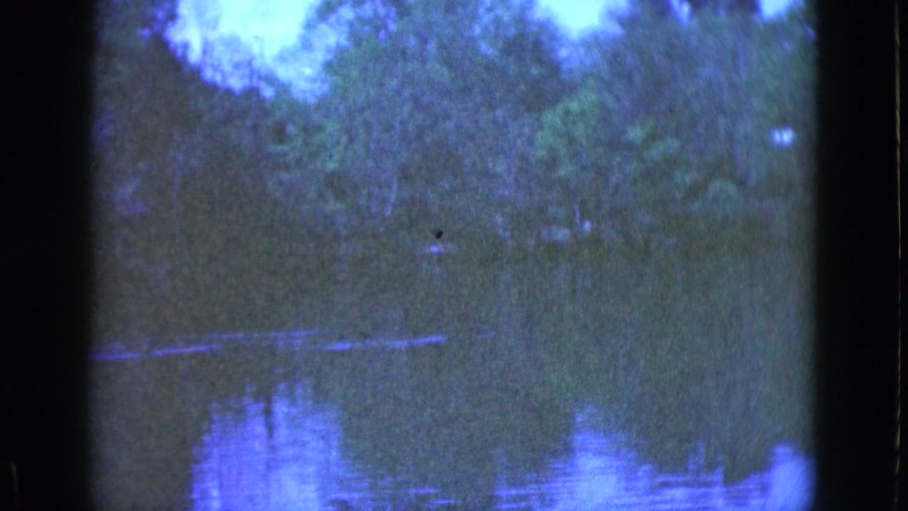 1975 Florida home-movie frame of a wooded riverbank reflected in still water, with visible 8mm frame edges.