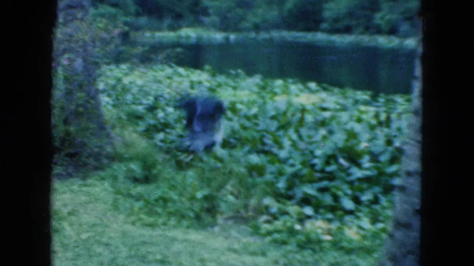 A blurred figure appears near a vegetation-lined Florida lagoon in the final 8mm frame of the dockside boating scene.
