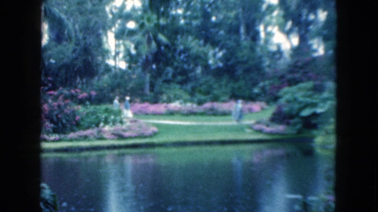 1975 Florida home-movie frame showing visitors on a garden path across a lake, surrounded by palms and pink flowers.