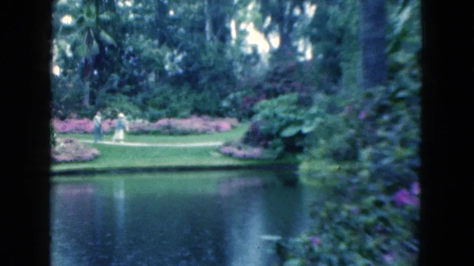 1975 Florida garden scene with distant visitors near pink flowering beds, framed by a lake, palms, and lush foliage.