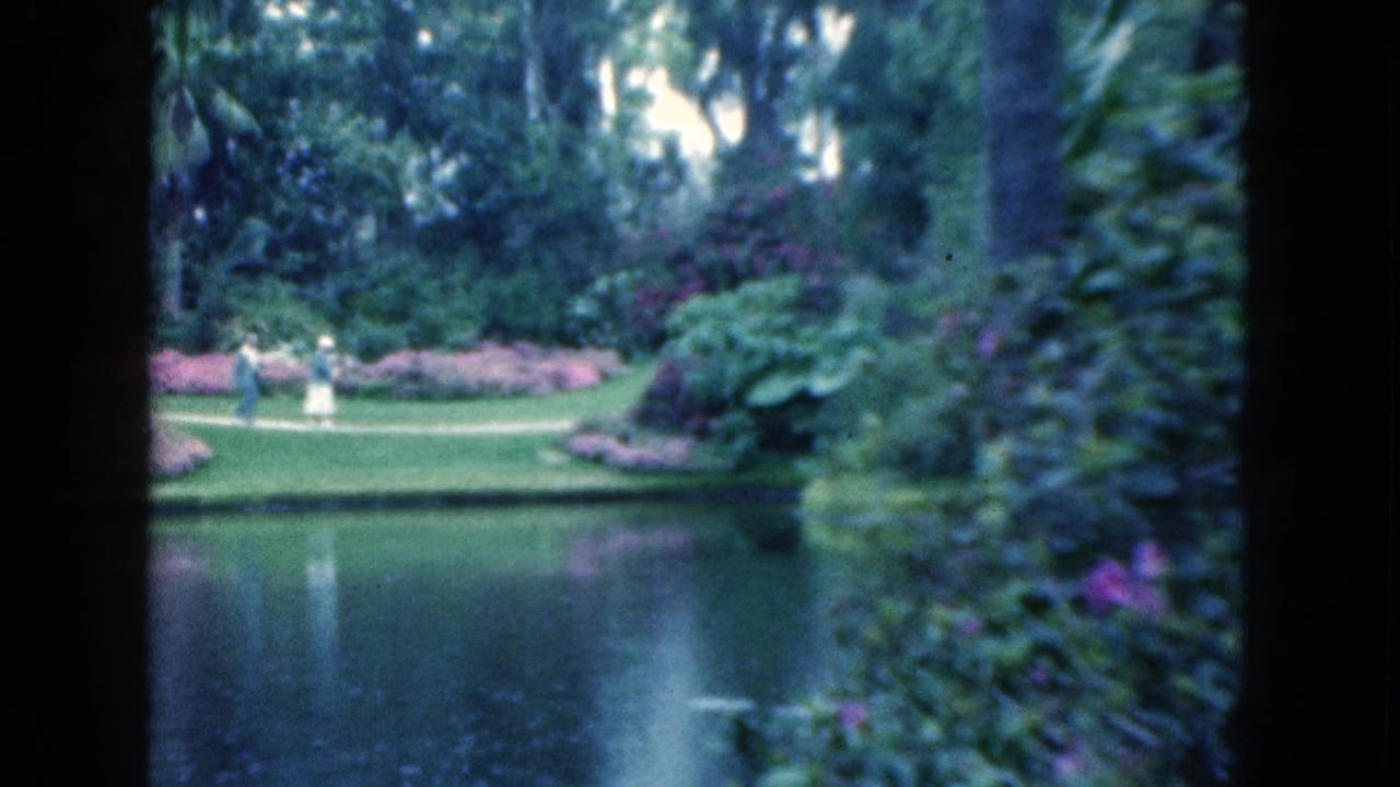 Distant people walking beside a pond in a lush park with trees and pink flowering shrubs.