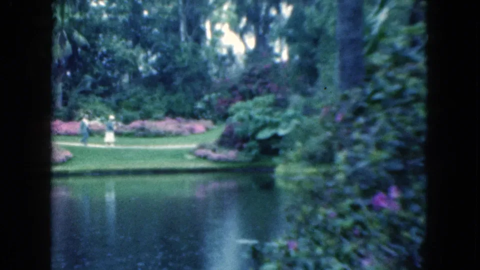 1975 Florida 8mm frame showing distant walkers near a pond, framed by dense greenery and pink flowering shrubs.