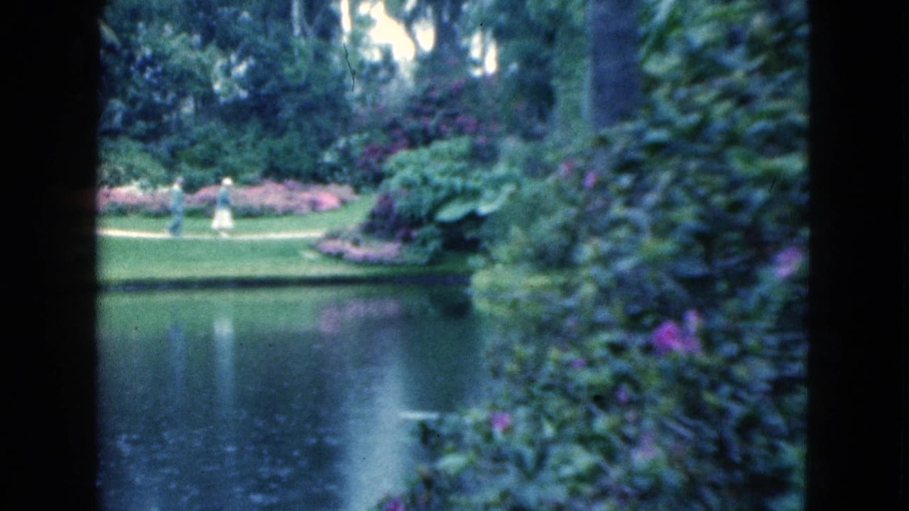 1975 Florida park view with two distant people walking beyond a pond amid trees, lawn, and pink flowers.