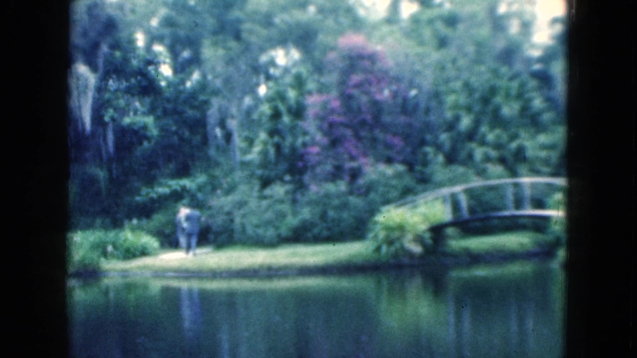 Garden pond with arched bridge, dense foliage, and a distant adult figure on the path.