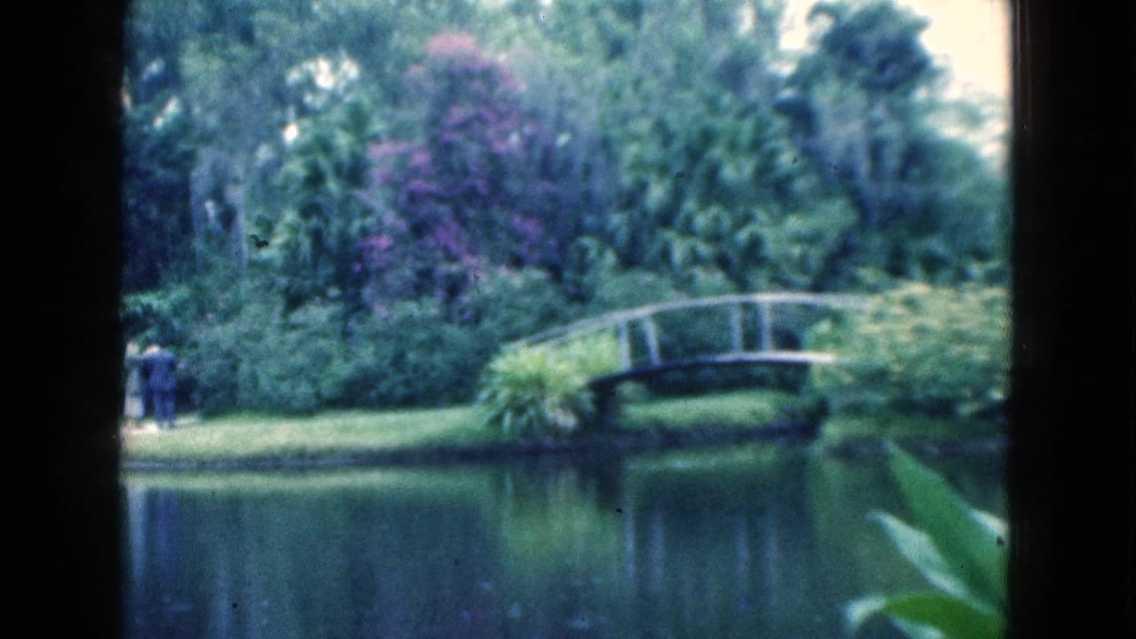 Two distant adults stand near a pond and arched bridge in a lush garden.