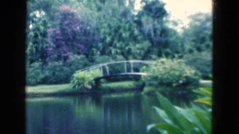 1975 Florida 8mm frame showing the pond and arched garden bridge in soft focus, surrounded by dense foliage and purple flowering plants.