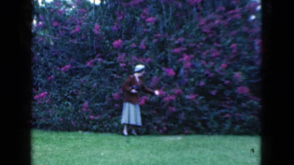 1975 Florida 8mm frame showing an adult woman in a hat, brown cardigan, and light skirt picking flowers from a purple garden shrub.