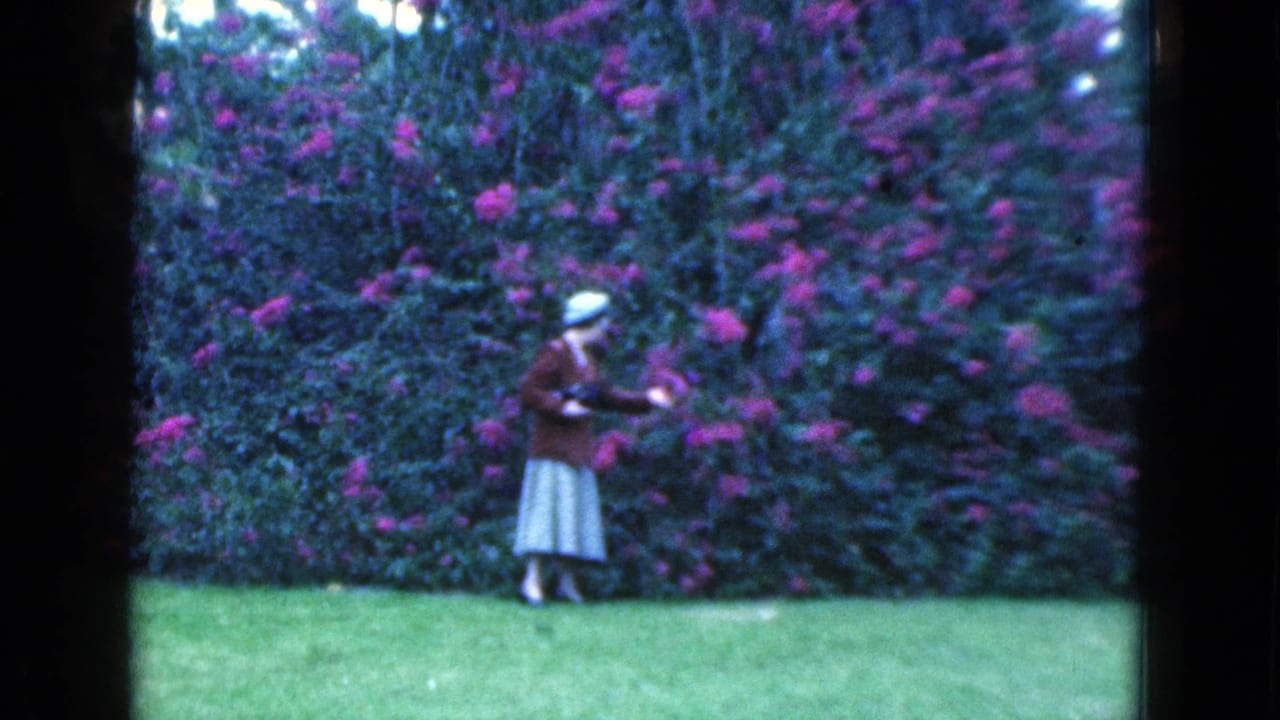 Woman in a hat and brown jacket stands on a lawn beside tall pink flowering bushes.