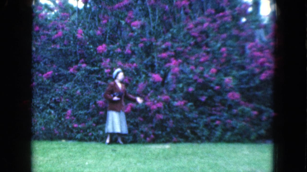 Woman gestures toward pink blooms while standing on a green lawn.