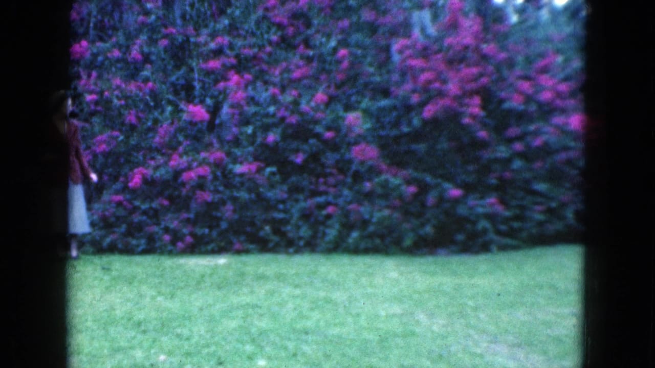 Young woman partly visible near purple flowering bushes and lawn.