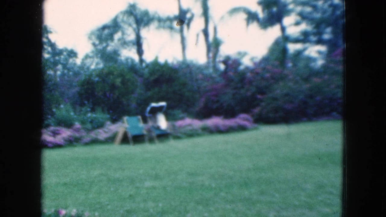 Manicured lawn with folding chairs, flowerbeds, shrubs, and palm trees in the background.