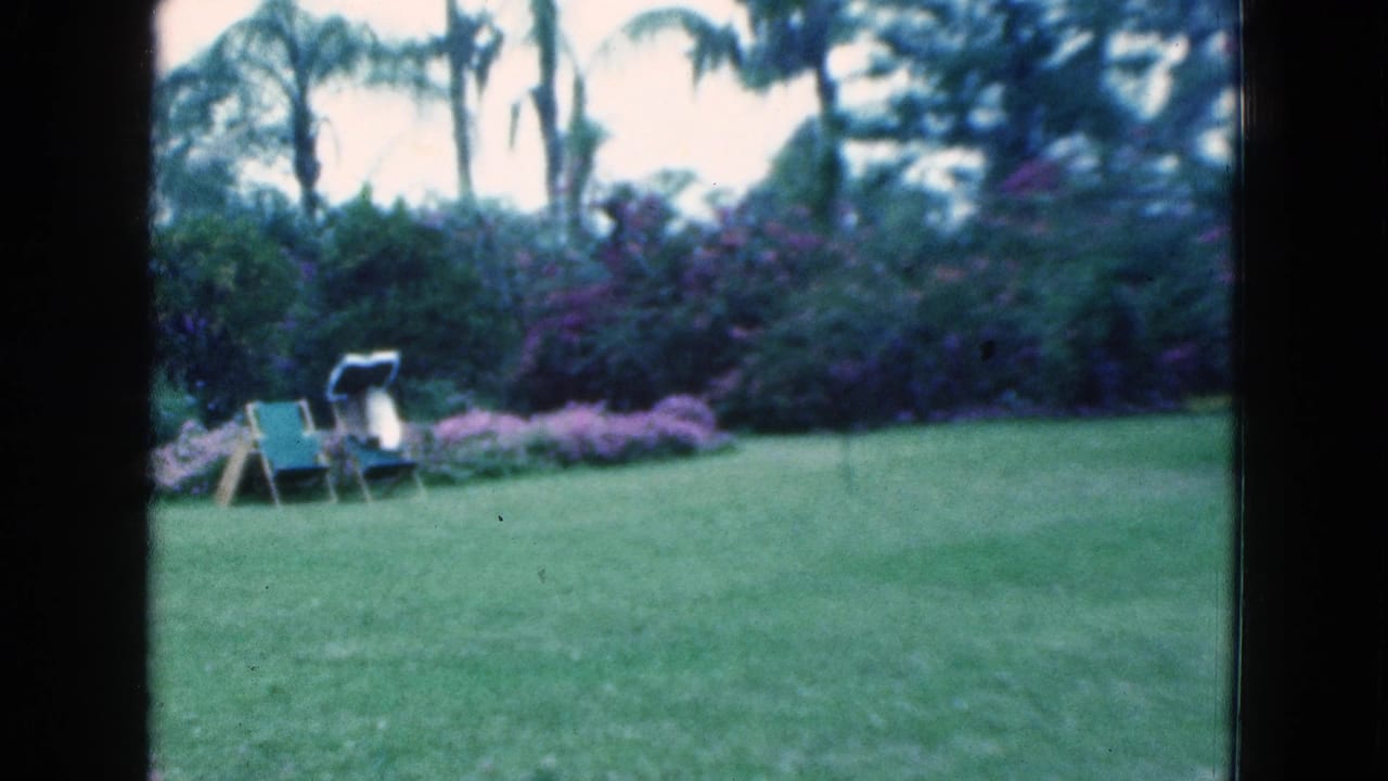 Wide yard view with lawn chairs, flowering shrubs, palm trees, and open grass.