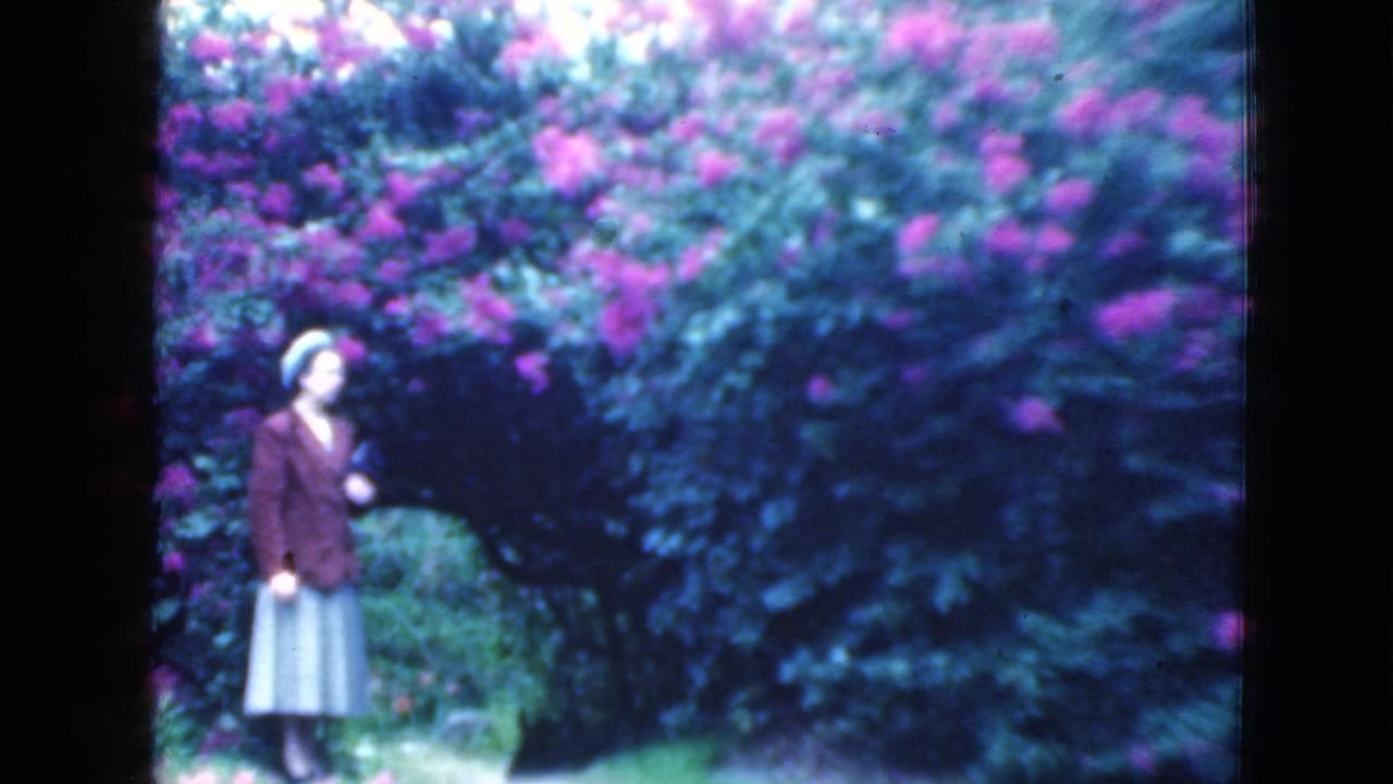 The woman stands in profile near a large mass of purple-pink blooms and dark green foliage in the Florida garden scene.