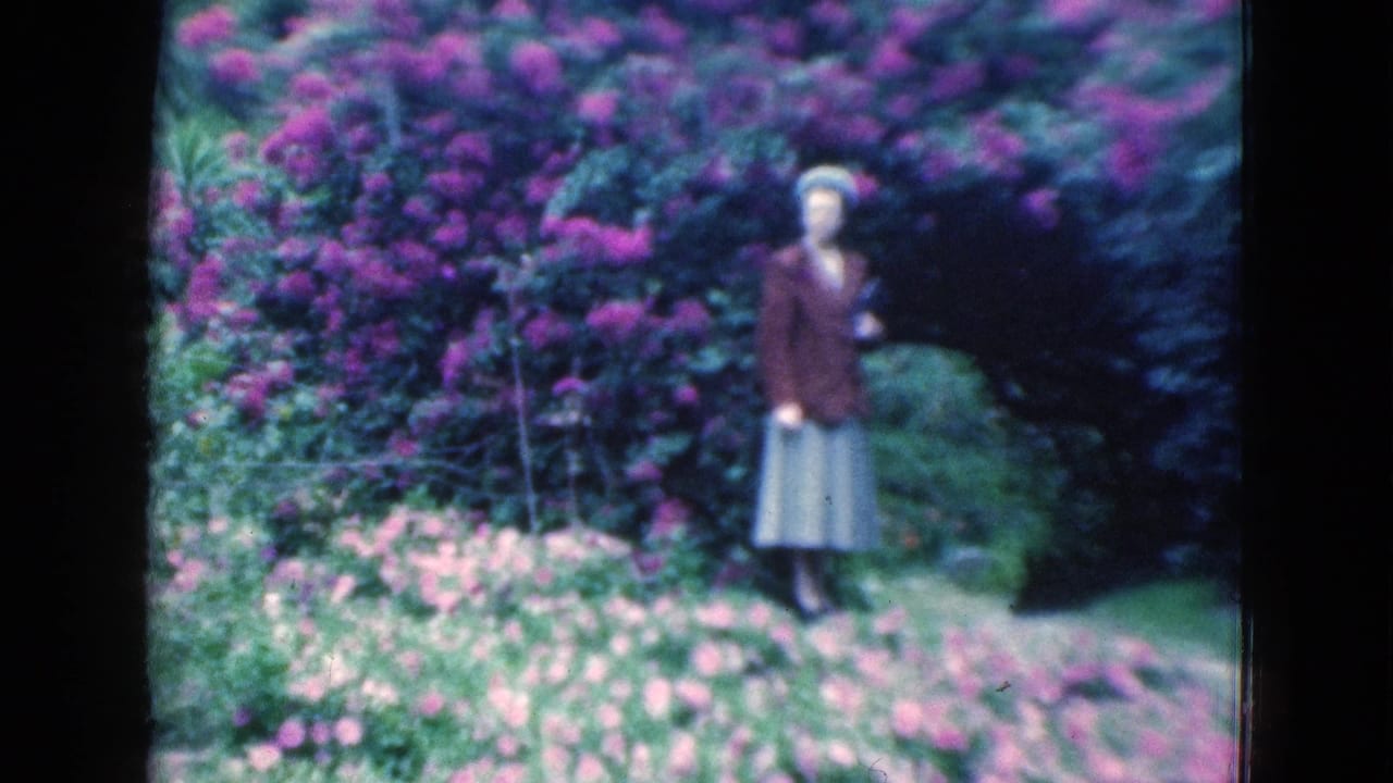 1975 Florida 8mm frame of a woman posing in a garden beside purple flowering shrubs and pink flower beds.
