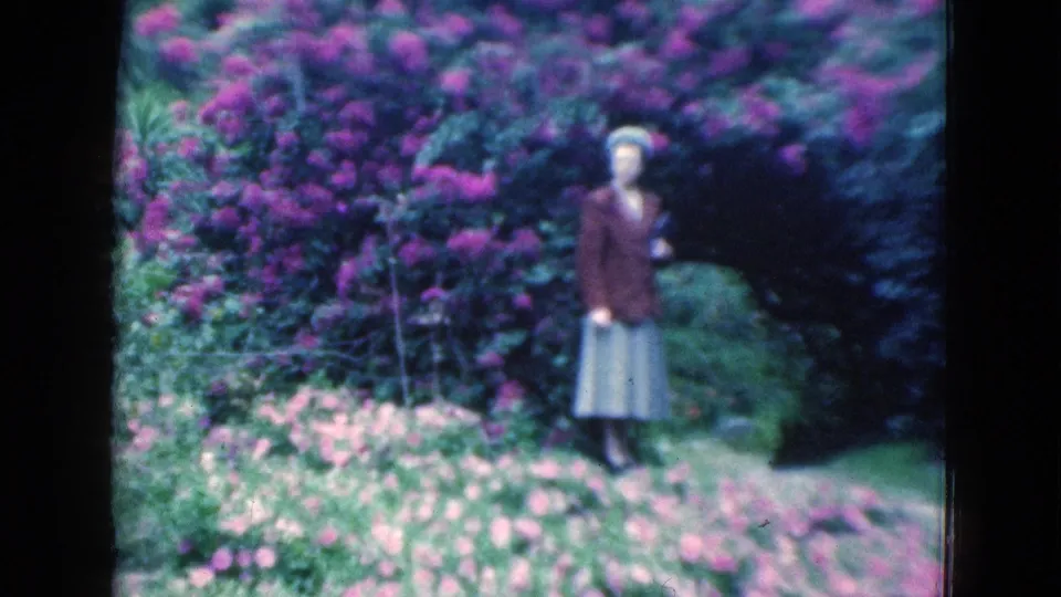 1975 Florida 8mm frame of a woman posing in a garden beside purple flowering shrubs and pink flower beds.