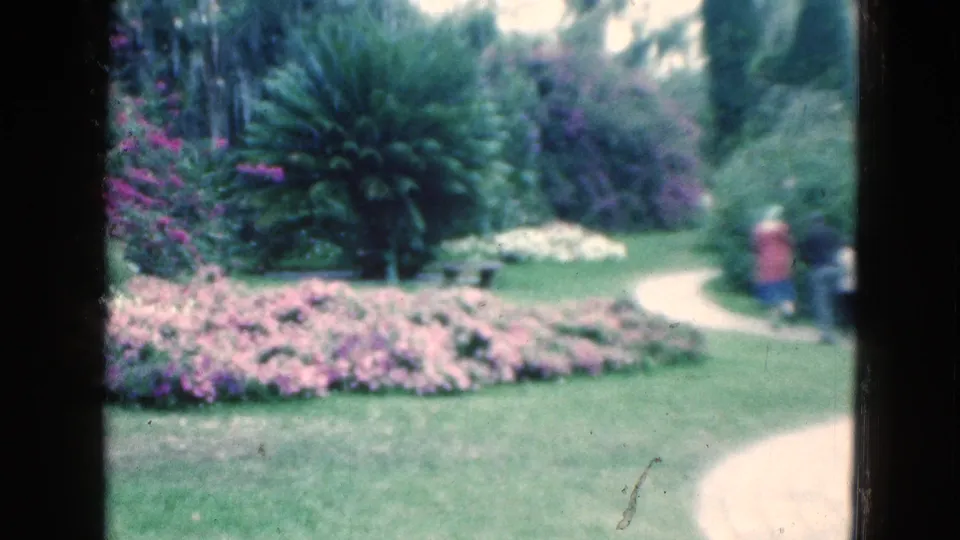 1975 Florida 8mm frame of a landscaped garden with pink flowers, lawn, a curved path, and visitors in the distance.