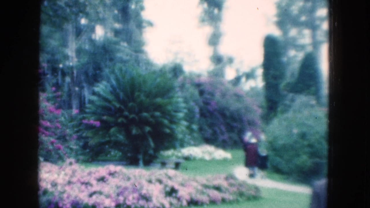 1975 Florida 8mm frame showing a landscaped garden with pink flowers, dense greenery, trees, and a distant visitor walking along a path.