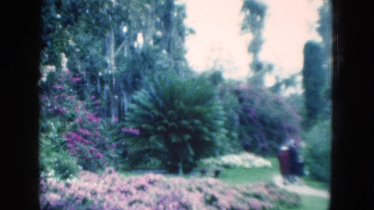 1975 Florida 8mm frame of a sunlit garden path edged by pink and purple flowers, with a distant visitor near the right side.