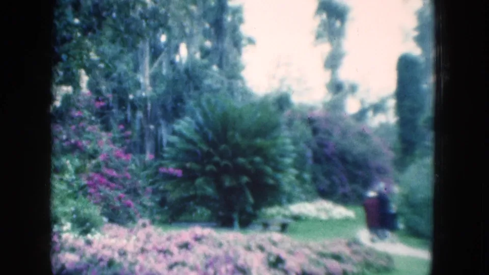1975 Florida 8mm frame of a sunlit garden path edged by pink and purple flowers, with a distant visitor near the right side.