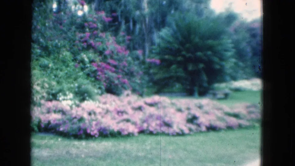 Soft 1975 Florida 8mm frame showing flower beds, a curving garden path, tall trees, lawn, and dense tropical-looking greenery.